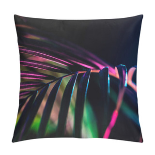 Personality  Palm Leaf With Trendy Color Filter, Isolated On Black Pillow Covers