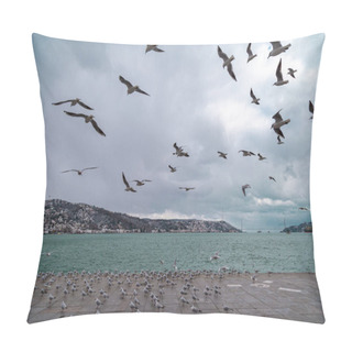 Personality  Group Of Wild Seagulls, Which Flying Against Blue Sky. Panoramic View Of Famous Tourist Place Tarabya With Seagulls On The Front, Istanbul, Turkey Pillow Covers