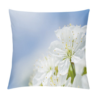 Personality  Beautiful Cherry Bloom In Front Of Blue Sky. Pillow Covers