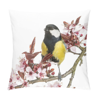 Personality  Male Great Tit Tweeting, Parus Major, Isolated On White Pillow Covers