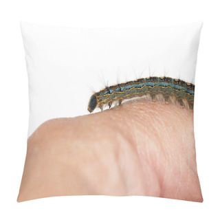 Personality  Caterpillar On Hand Pillow Covers