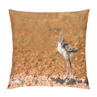 Personality  Lapwing Chick At Lake Pillow Covers