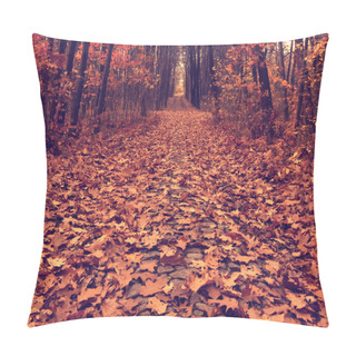 Personality  Autumn Path Across The Wood, Vintage Pillow Covers