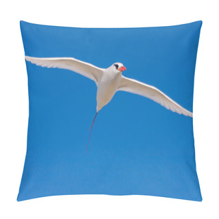 Personality  Red-billed Tropicbird Pillow Covers
