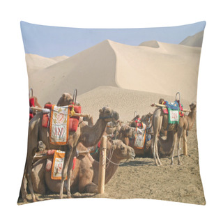 Personality  Camel In Mingsha Shan (Echo Sand Mountain) In Dunhuang, China Pillow Covers