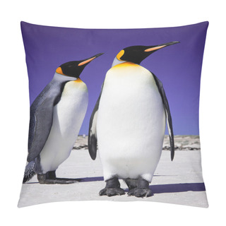 Personality  King Penguins At Volunteer Point On The Falkland Islands Pillow Covers
