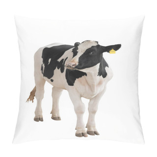 Personality   Black - White Cow Isolated On A White Background. Pillow Covers