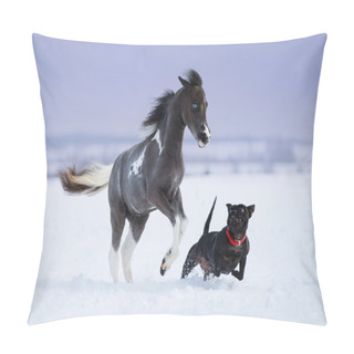 Personality  Horse Playing With Dog Pillow Covers