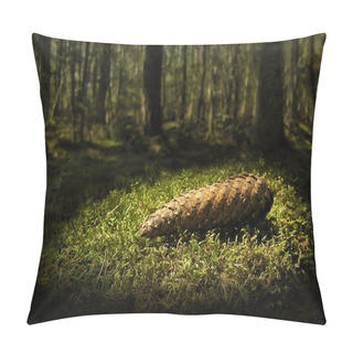Personality  Pine Cone Lying On A Patch Of Moss In Deep Scandinavian Forest. A Ray Of Light Pass Through The Foliage To Enlighten The Cone That Looks Like A Hidden Treasure. Pillow Covers