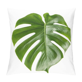 Personality  Green Leaf Exotic Plant Monstera Isolated White Background Pillow Covers