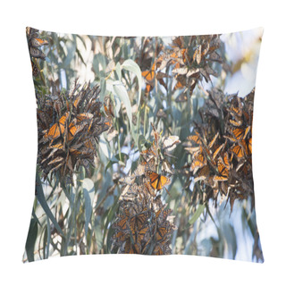 Personality  Cluster Of Monarch Butterflies (Danaus Plexippus). Monarch Grove Sanctuary, Pacific Grove, California. Pillow Covers