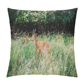 Personality  Rear View Of Deer Walking In Grass Near Forest  Pillow Covers