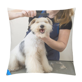 Personality  Fox Terrier Getting His Hair Cut Pillow Covers