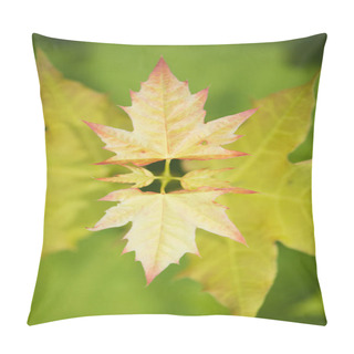 Personality  Maple Leaves On Tree Branch Background Pillow Covers