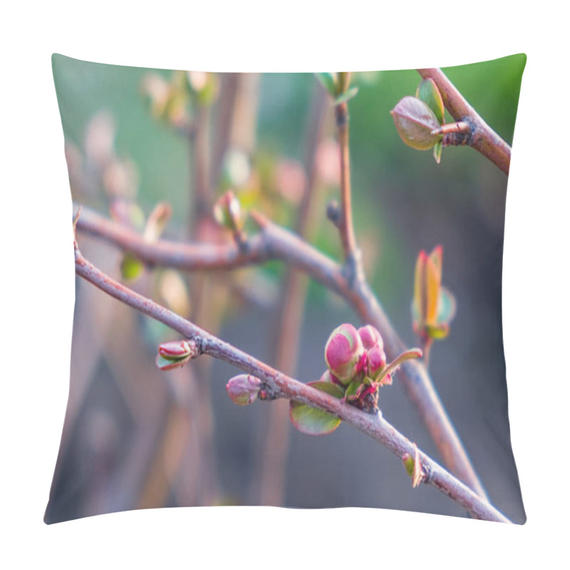 Personality  Branch of fruit tree with budding buds, early spring, close-up. pillow covers