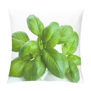 Personality  Basil Leaves Isolated Pillow Covers