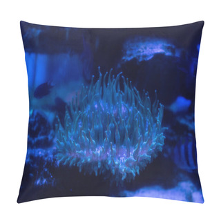 Personality  Coral Under Water In Aquarium With Blue Lighting Pillow Covers