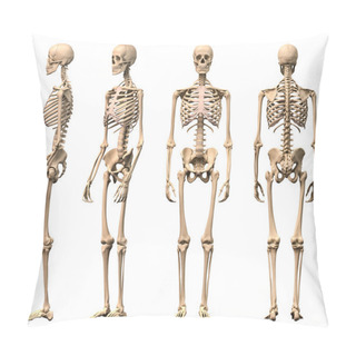Personality  Male Human Skeleton, Four Views, Front, Back,side And Perspectiv Pillow Covers