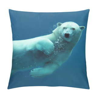 Personality  Polar Bear Underwater Close-up Pillow Covers