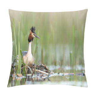 Personality  Great Crested Grebe (Podiceps Cristatus) Pillow Covers