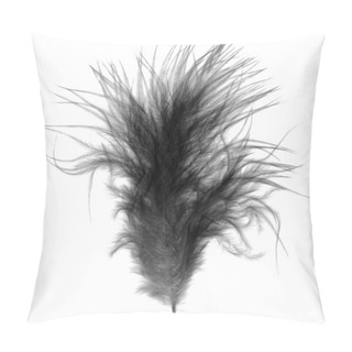 Personality  Black Single Soft Downy Bird Feather Quill Over White Pillow Covers
