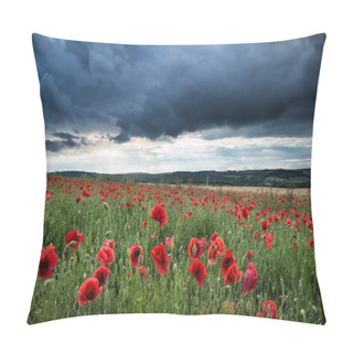 Personality  Stunning Poppy Field Landscape In Summer Sunset Light Pillow Covers
