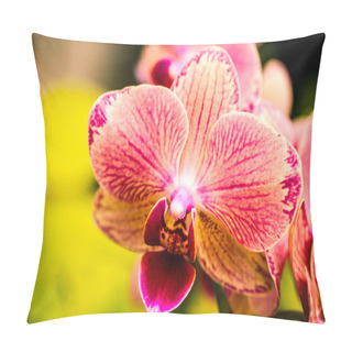 Personality  Tropical Orchid Flower Blossoms Pillow Covers