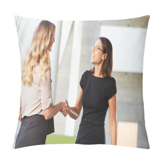 Personality  Two Businesswomen Shaking Hands In Modern Office Pillow Covers