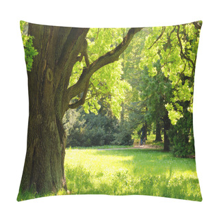 Personality  Mighty Oak Tree Pillow Covers