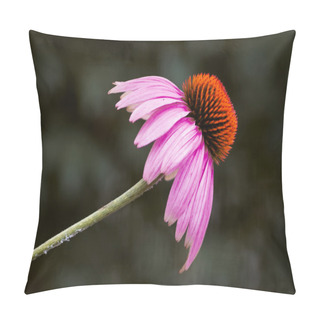 Personality  Echinacea Flower Pillow Covers