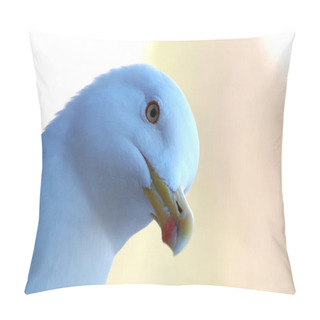 Personality  Bird's Look Pillow Covers