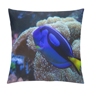Personality Exotic Aquarium Fish Pillow Covers