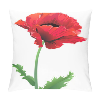 Personality  Poppy Flower Close Up Pillow Covers