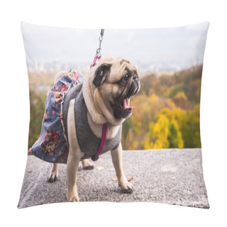 Personality  Dog Mops. Dog Wearing Dog Dress. Pillow Covers