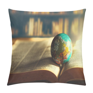 Personality  World Globe On  Book. Education School Concept Pillow Covers