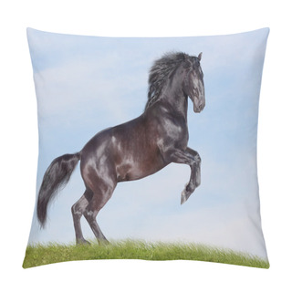 Personality  Black Stallion Pillow Covers