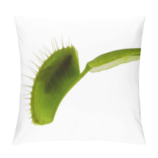 Personality  Venus Flytrap Pillow Covers