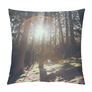 Personality  Scenic View Of Beautiful Green Forest With Sunlight Flare In Carpathians, Ukraine Pillow Covers