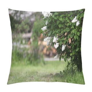 Personality  Branches Of White Lilac Blossoms Pillow Covers