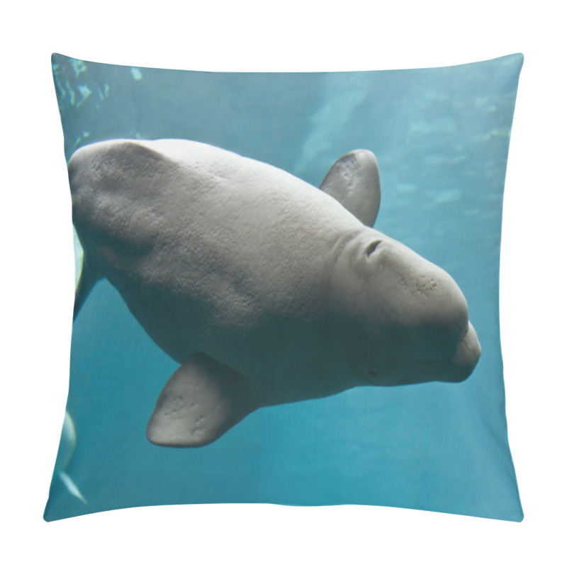 Personality  Beluga Whale Pillow Covers