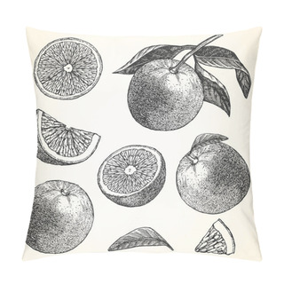 Personality  Hand-drawn Illustration Of Fruits Pillow Covers