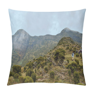 Personality  The Foggy Landscapes Of Aberdare Ranges, Kenya Pillow Covers