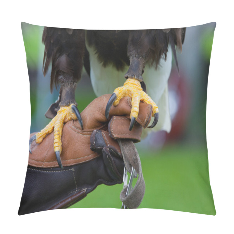Personality  Claws of Bald Headed Eagle pillow covers