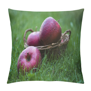 Personality  Fresh Picked Red Apples Pillow Covers