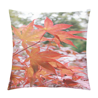 Personality  Background Of Maple Tree Branches In Autumnal Colors Pillow Covers