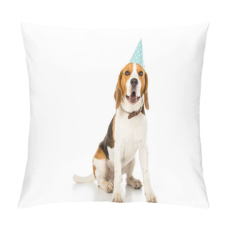 Personality  Beagle Dog In Party Cone Isolated On White Pillow Covers
