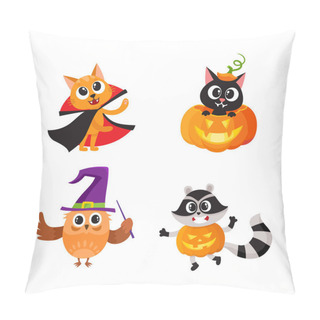Personality  Cat, Kitten Owl And Raccoon In Halloween Costumes Pillow Covers