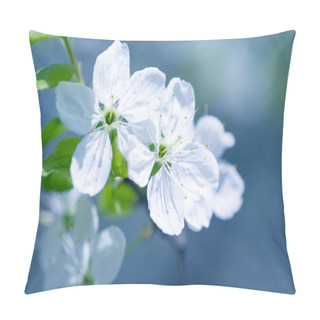Personality  Beautiful Flowering Plum Trees. Background With Blooming Flowers In Spring Day. Pillow Covers