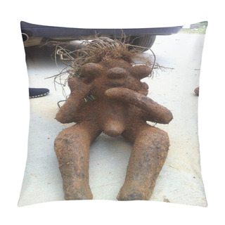 Personality  A Male Shaped Fleece Flower Root, Also Known As Ho Shou Wu Or Fo-ti Is Pictured In Dean County, Jiujiang City, East Chinas Jiangxi Province, 7 May 2013 Pillow Covers