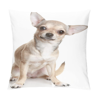 Personality  Chihuahua In Front Of A White Background Pillow Covers